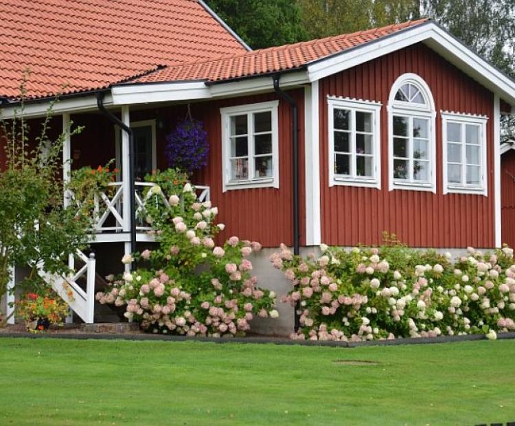 Fenêtres pivotantes